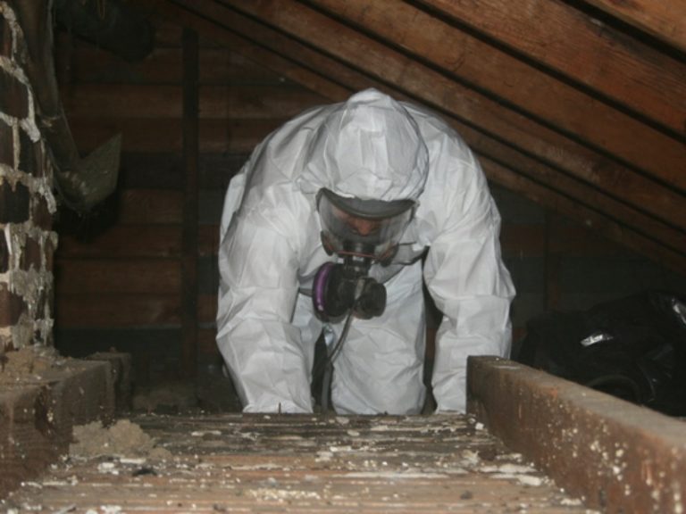 Dealing with Asbestos in Homes What you Should Know Focus Thai Home
