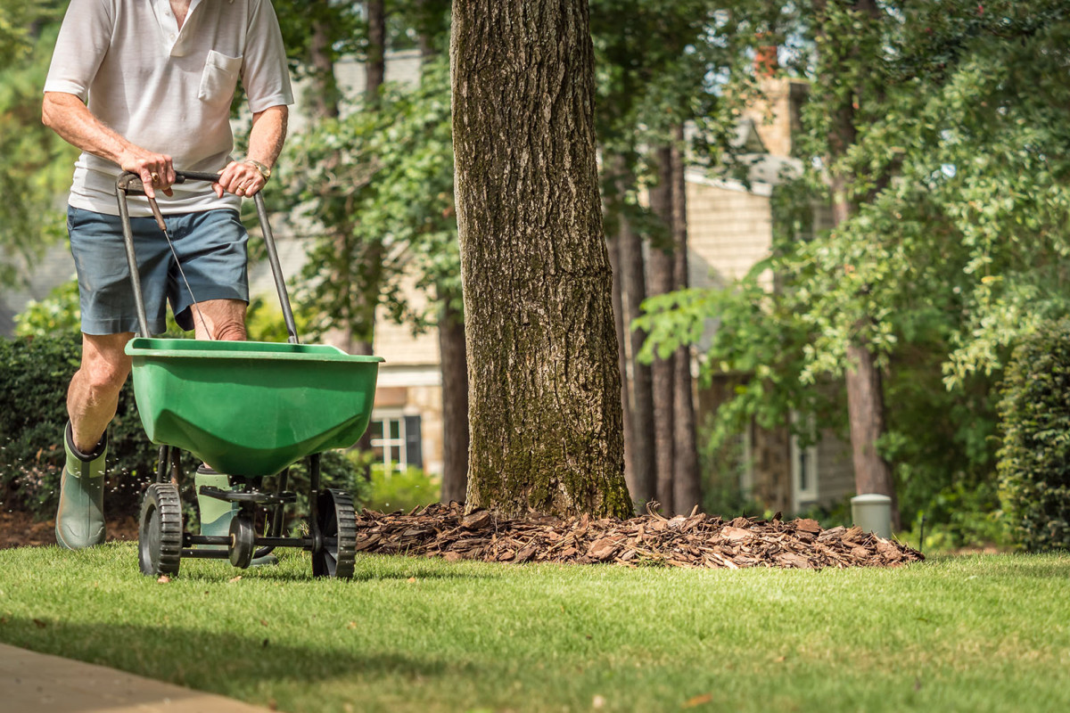 Beyond The Green: Why Your Lawn Needs A Pro’s Touch